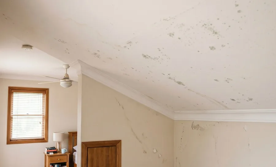 Interior ceiling mould spreading across bedroom ceiling in Perth home caused by ongoing moisture issues