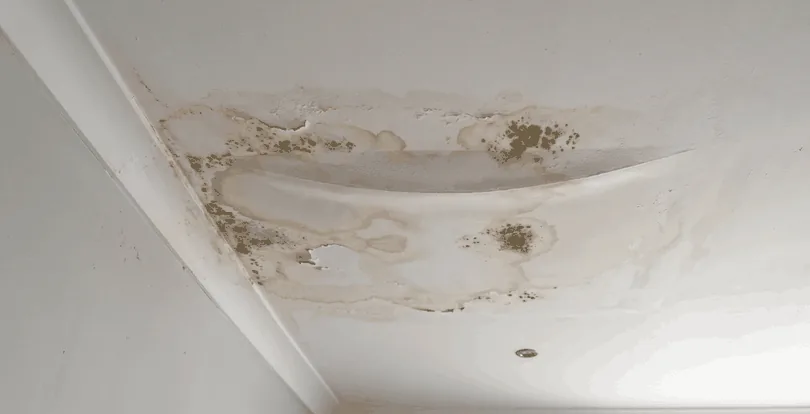Severe mould and water damaged ceiling in Perth home showing sagging plaster and leak stains