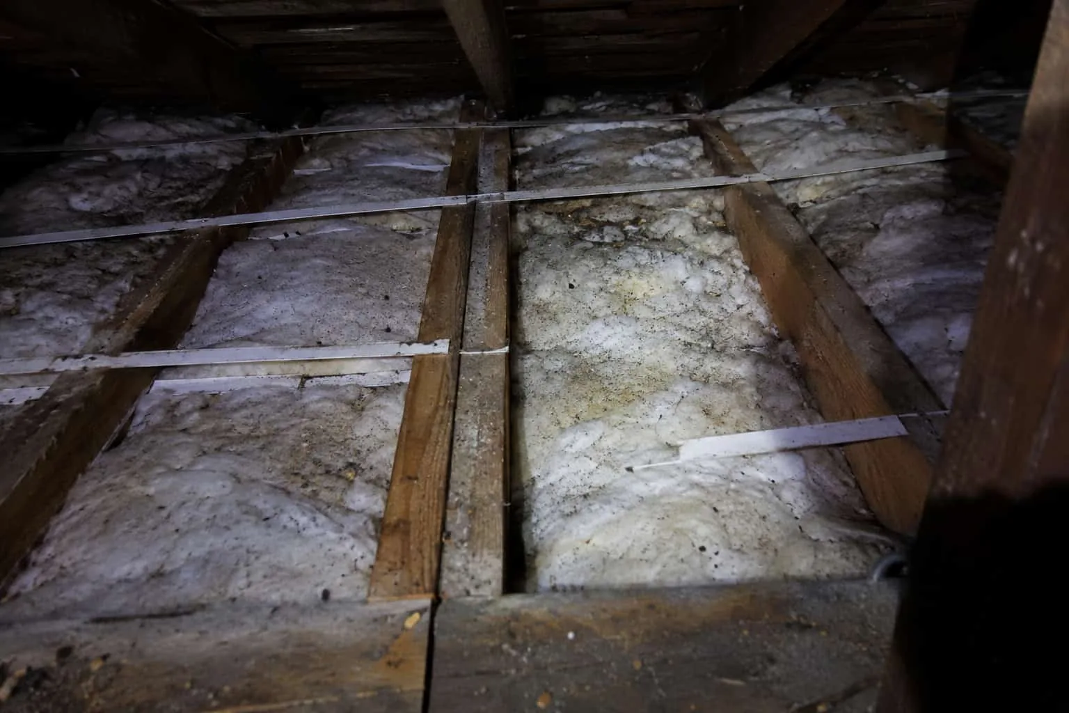 Plasterglass ceiling strapping viewed from inside a Perth roof cavity, showing white fibreglass strapping laid across timber joists with settled insulation between them.
