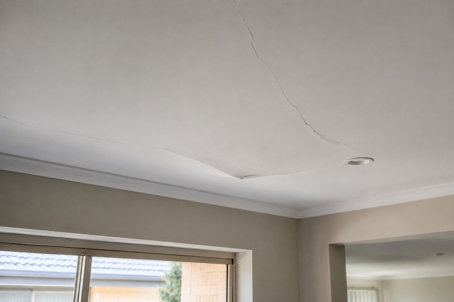 When Does Termite Ceiling Damage Require Repairs?