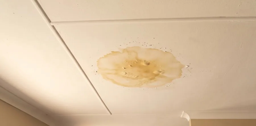Brown water stain on ceiling showing signs of moisture damage in Perth property