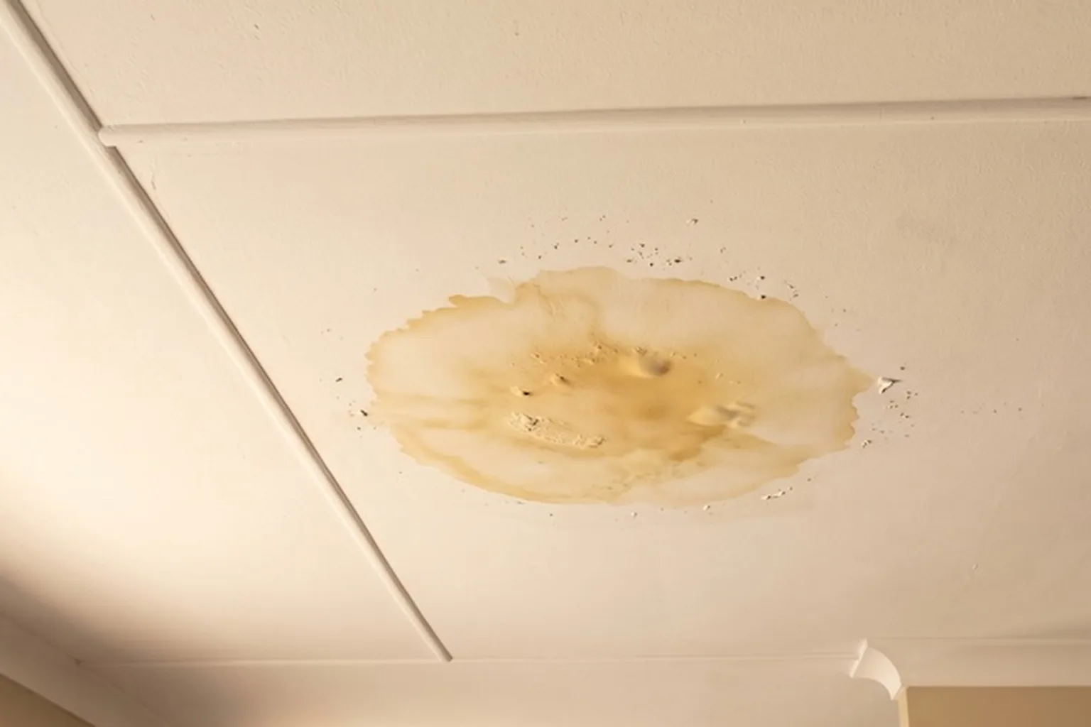A brown water stain spreading across a ceiling around the light fitting